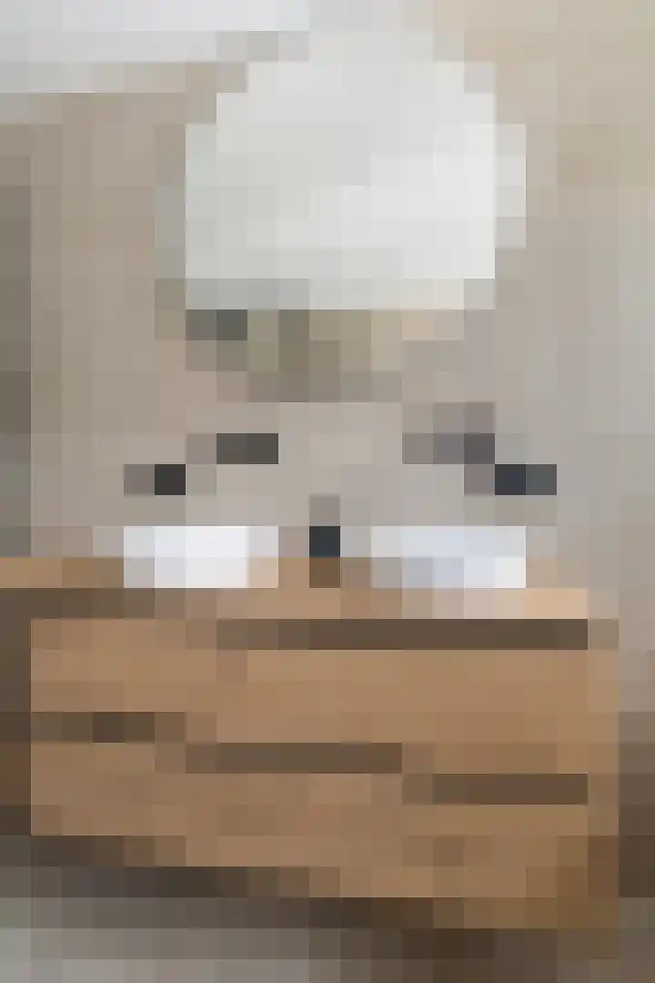 Osingasingel 15 Dronryp thumbnail 46