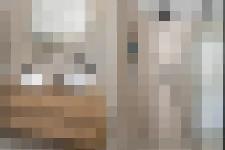 Osingasingel 15 Dronryp thumbnail 47