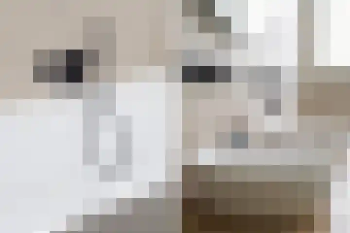 Osingasingel 15 Dronryp thumbnail 48