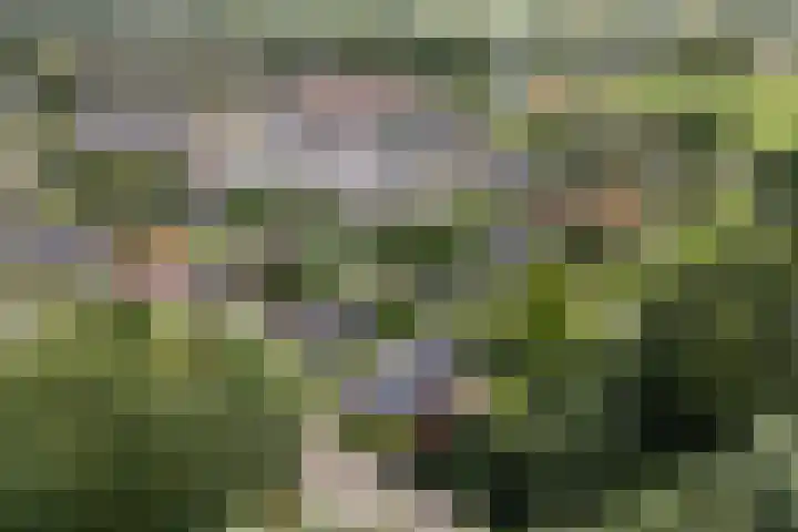 Osingasingel 15 Dronryp thumbnail 49