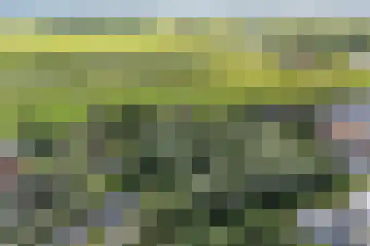 Osingasingel 15 Dronryp thumbnail 50