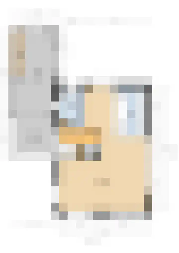 Osingasingel 15 Dronryp thumbnail 52