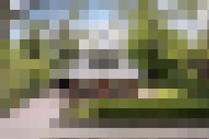 Osingasingel 15 Dronryp thumbnail 6