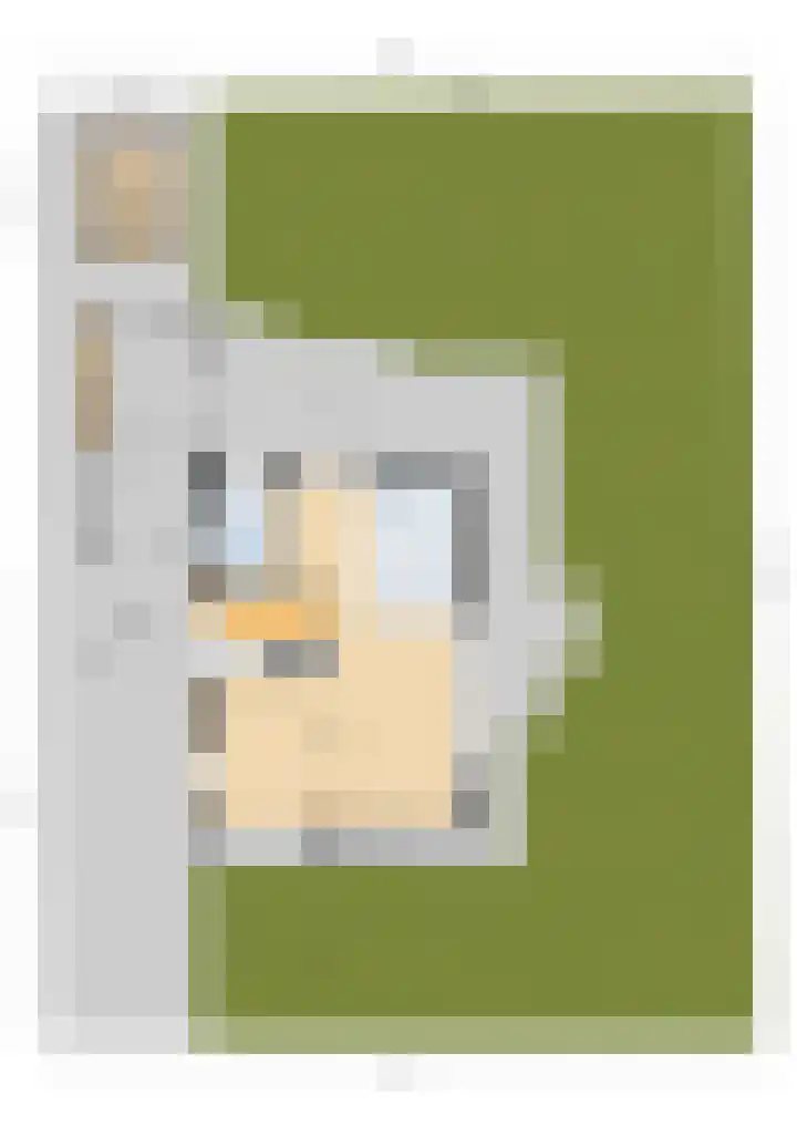 Osingasingel 15 Dronryp thumbnail 60