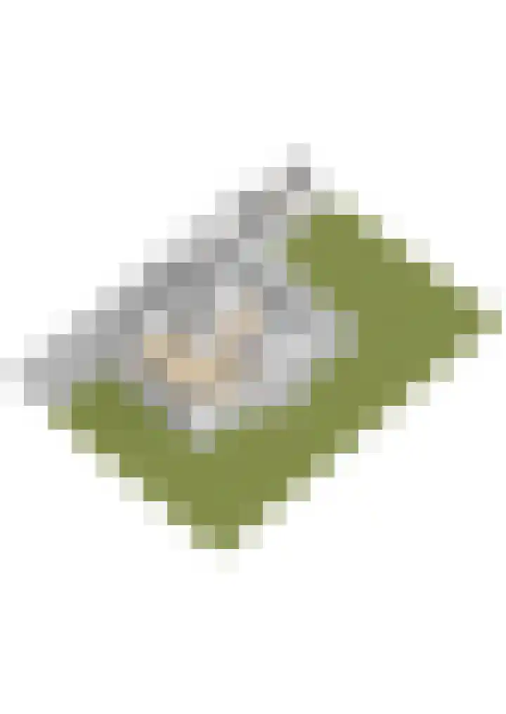 Osingasingel 15 Dronryp thumbnail 61
