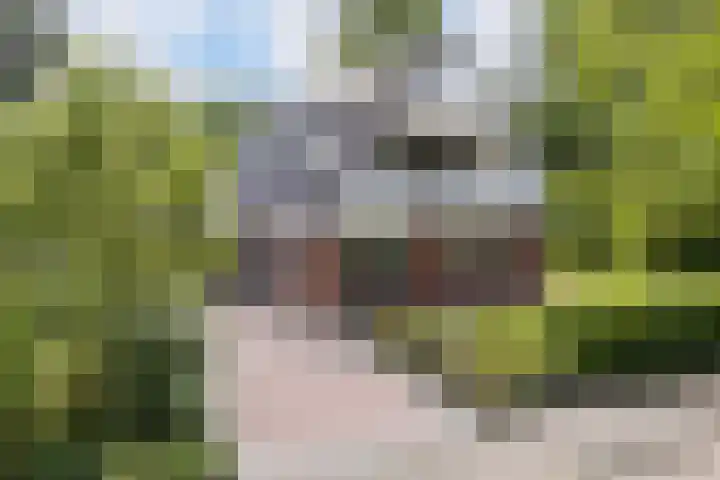 Osingasingel 15 Dronryp thumbnail 7