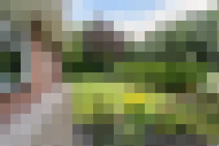 Osingasingel 15 Dronryp thumbnail 8