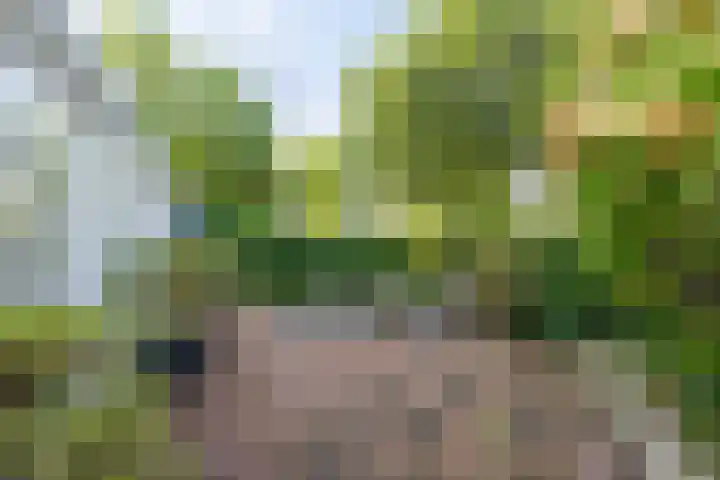 Osingastate 23 Leeuwarden thumbnail 55