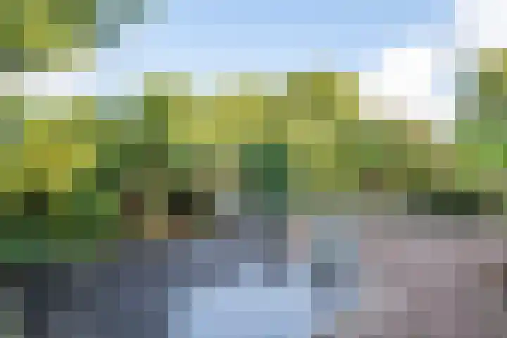 Osingastate 23 Leeuwarden thumbnail 57