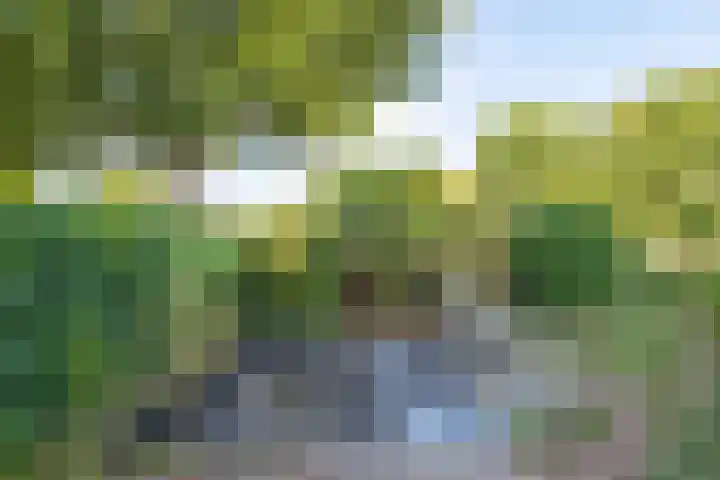 Osingastate 23 Leeuwarden thumbnail 58