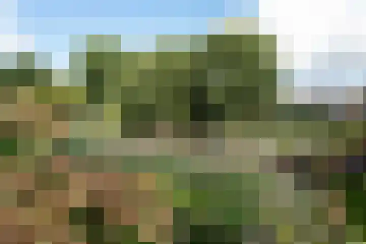 Osingastate 23 Leeuwarden thumbnail 60