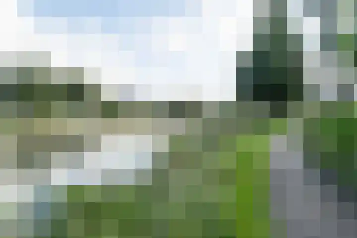 Osingastate 23 Leeuwarden thumbnail 62