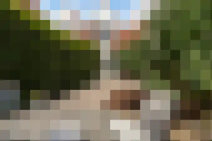 Osingastate 31 Leeuwarden thumbnail 11