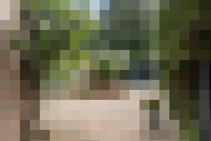 Osingastate 31 Leeuwarden thumbnail 12