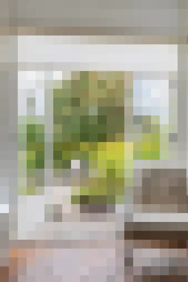 Osingastate 31 Leeuwarden thumbnail 19