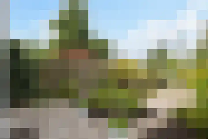 Osingastate 31 Leeuwarden thumbnail 20