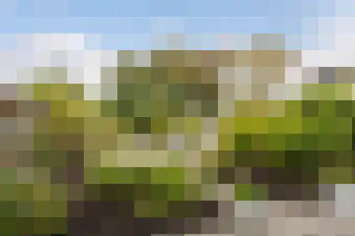 Osingastate 31 Leeuwarden thumbnail 21