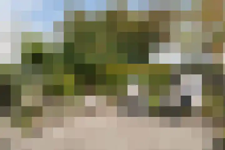 Osingastate 31 Leeuwarden thumbnail 22