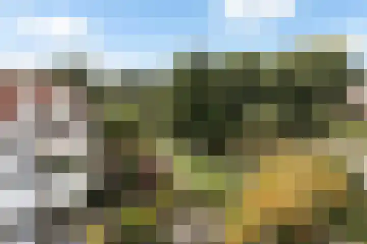 Osingastate 31 Leeuwarden thumbnail 23
