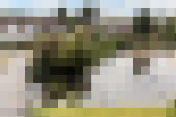 Osingastate 31 Leeuwarden thumbnail 24