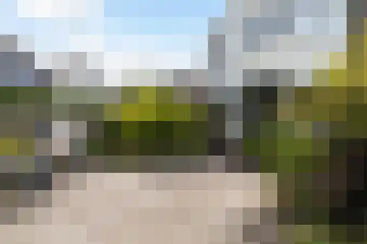 Osingastate 31 Leeuwarden thumbnail 25
