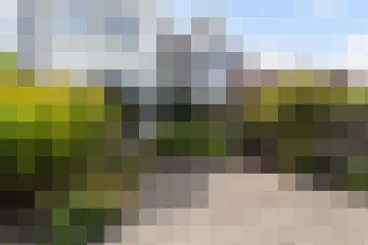 Osingastate 31 Leeuwarden thumbnail 26