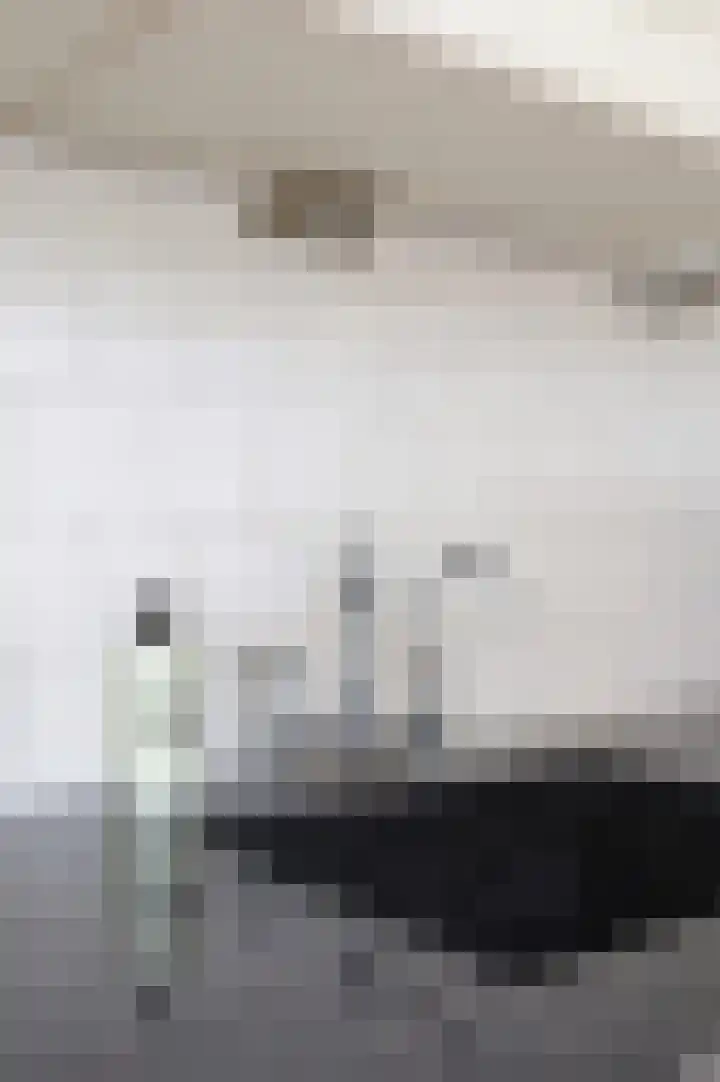 Osingastate 31 Leeuwarden thumbnail 37