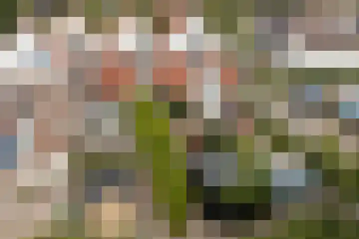 Osingastate 31 Leeuwarden thumbnail 4