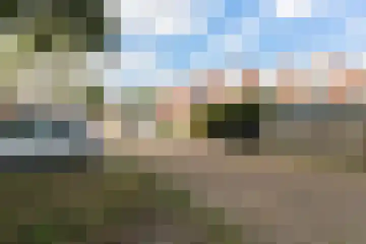 Osingastate 31 Leeuwarden thumbnail 5
