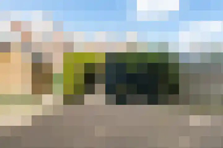 Osingastate 31 Leeuwarden thumbnail 8