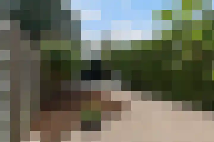 Osingastate 31 Leeuwarden thumbnail 9