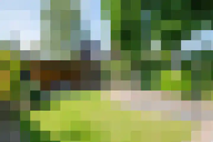 Osingastate 53 Leeuwarden thumbnail 28