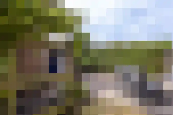 Osingastate 53 Leeuwarden thumbnail 32