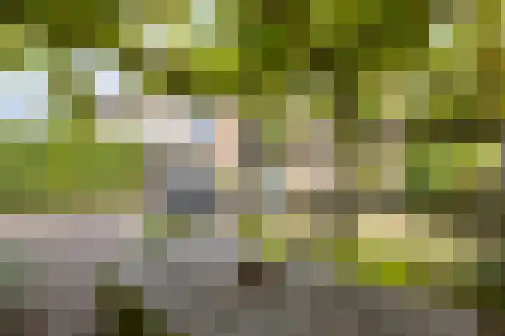 Osingastate 53 Leeuwarden thumbnail 37