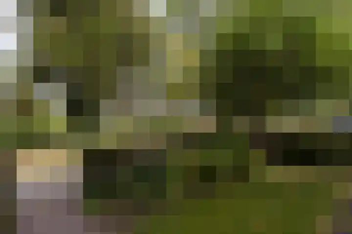 Osingastate 53 Leeuwarden thumbnail 5