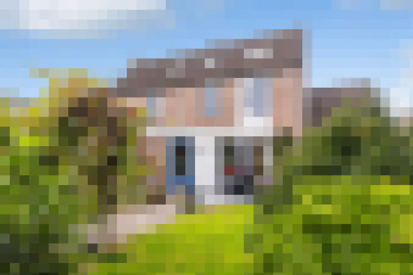 Osingastate 61 Leeuwarden thumbnail 5