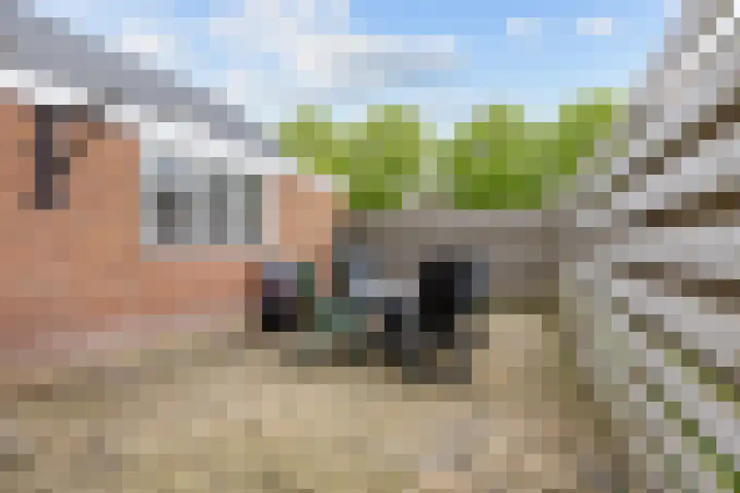 Osingastraat 10 Franeker thumbnail 6