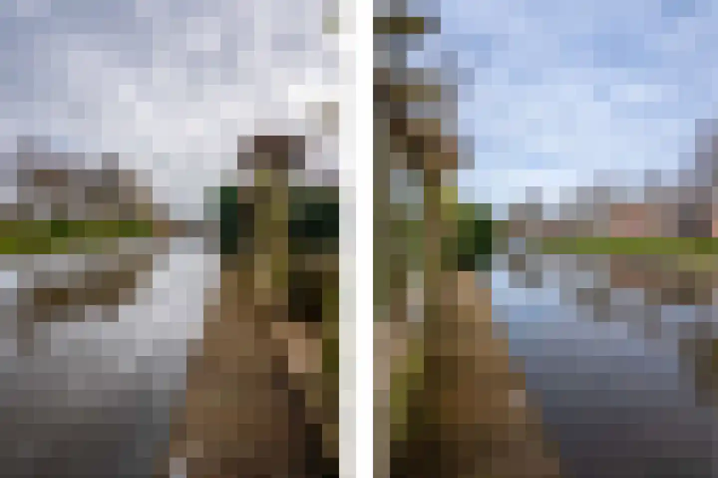 Osingastraat 48 Franeker thumbnail 31
