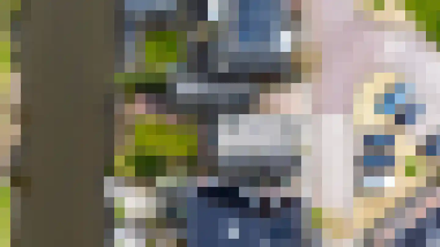 Osingastraat 48 Franeker thumbnail 32