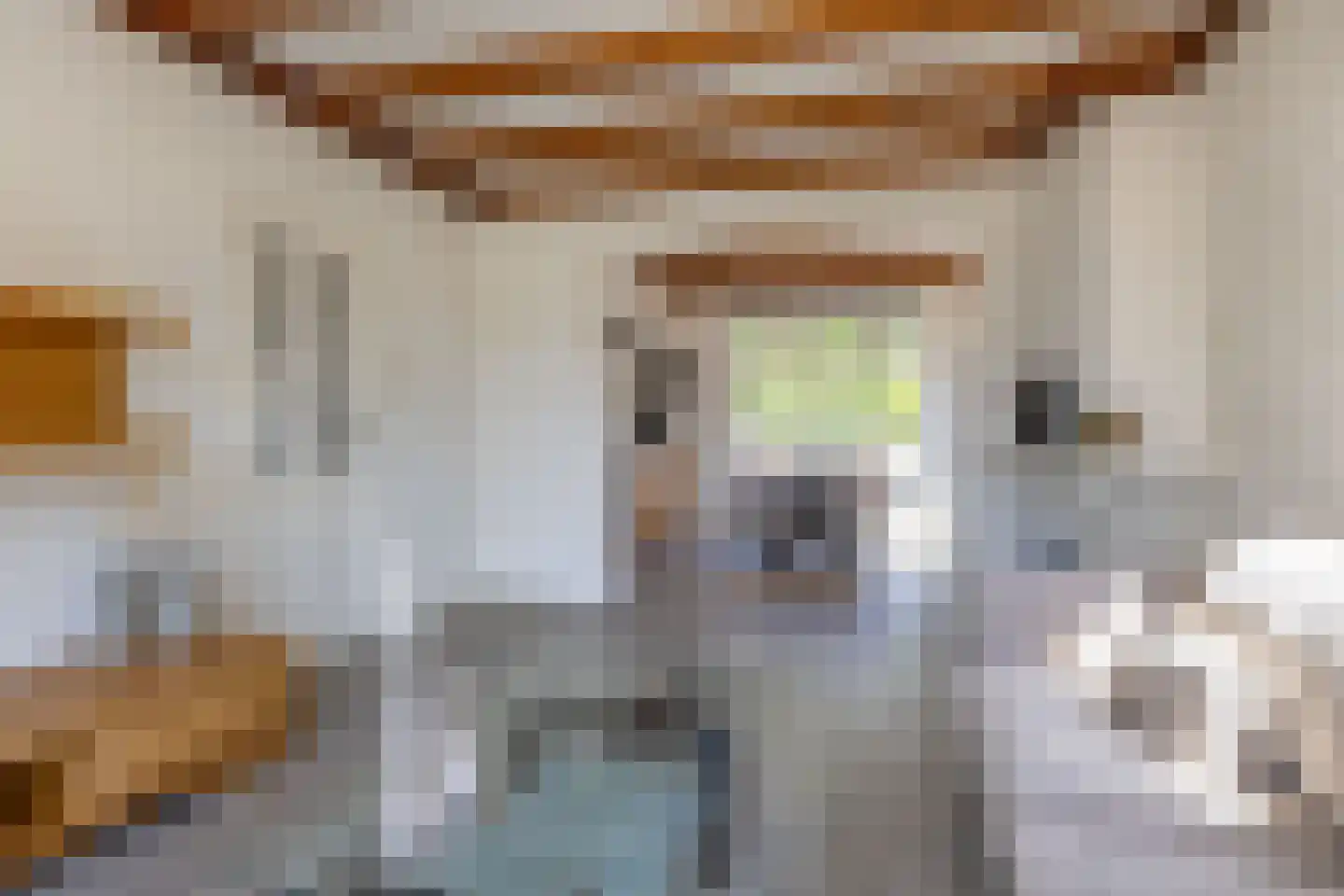 Osingastraat 56 Franeker thumbnail 17