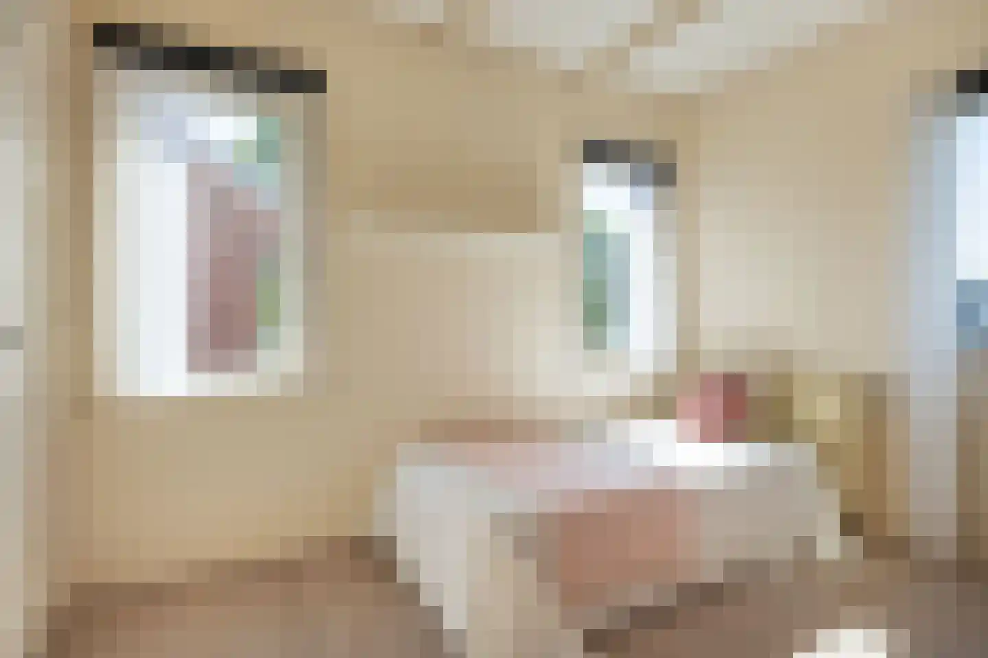 Osingastraat 56 Franeker thumbnail 38