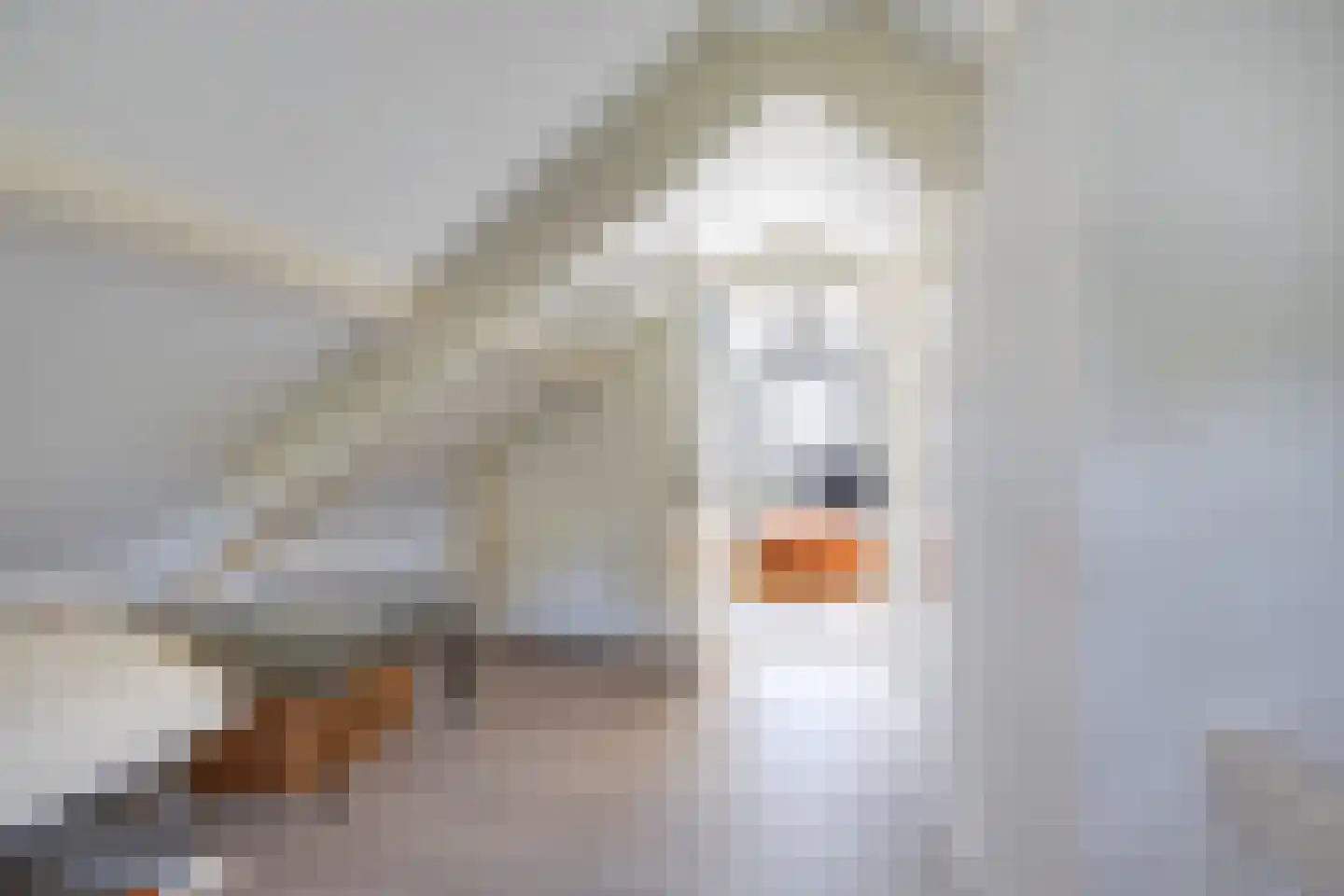 Osingastraat 56 Franeker thumbnail 47