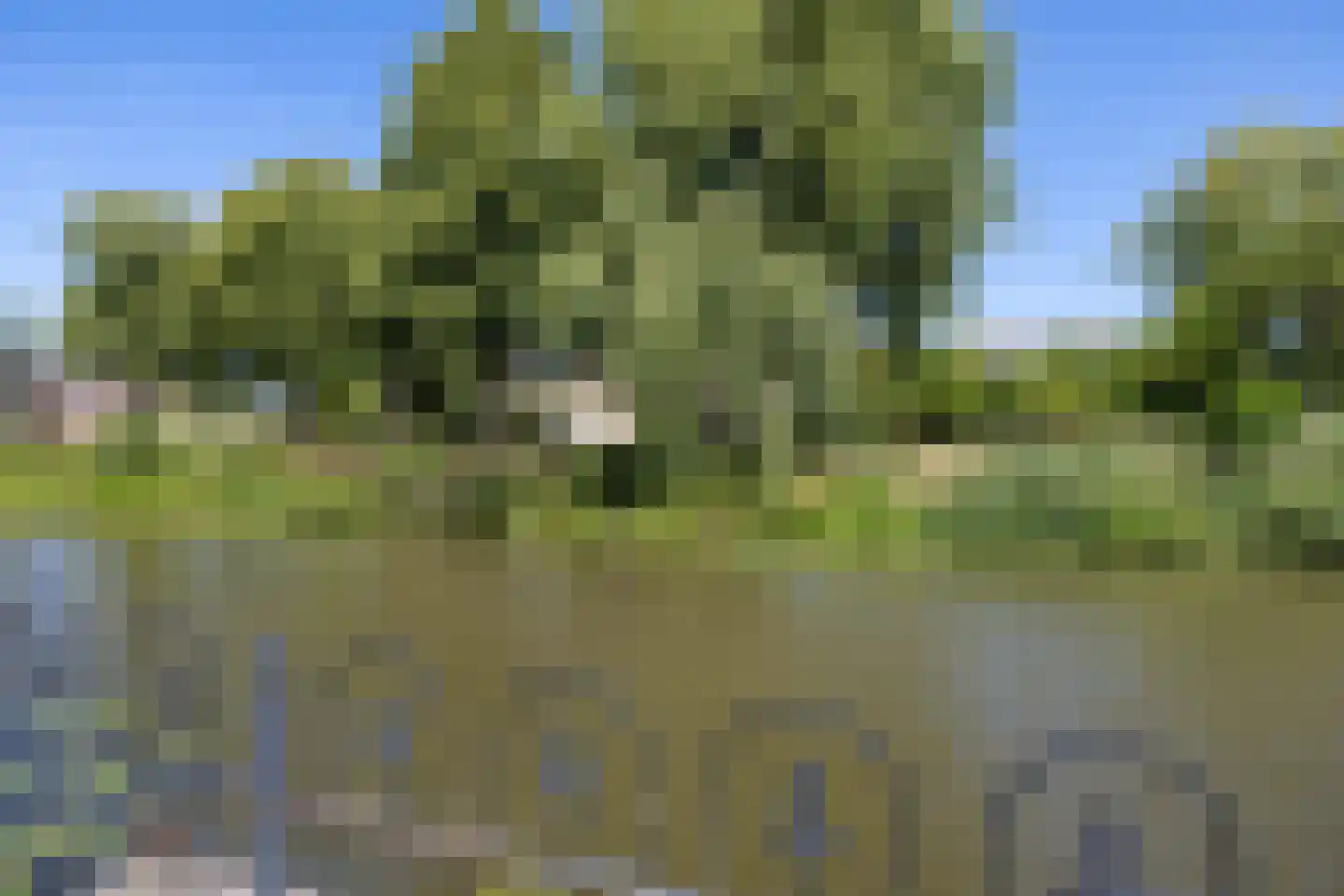 Osingastraat 56 Franeker thumbnail 55