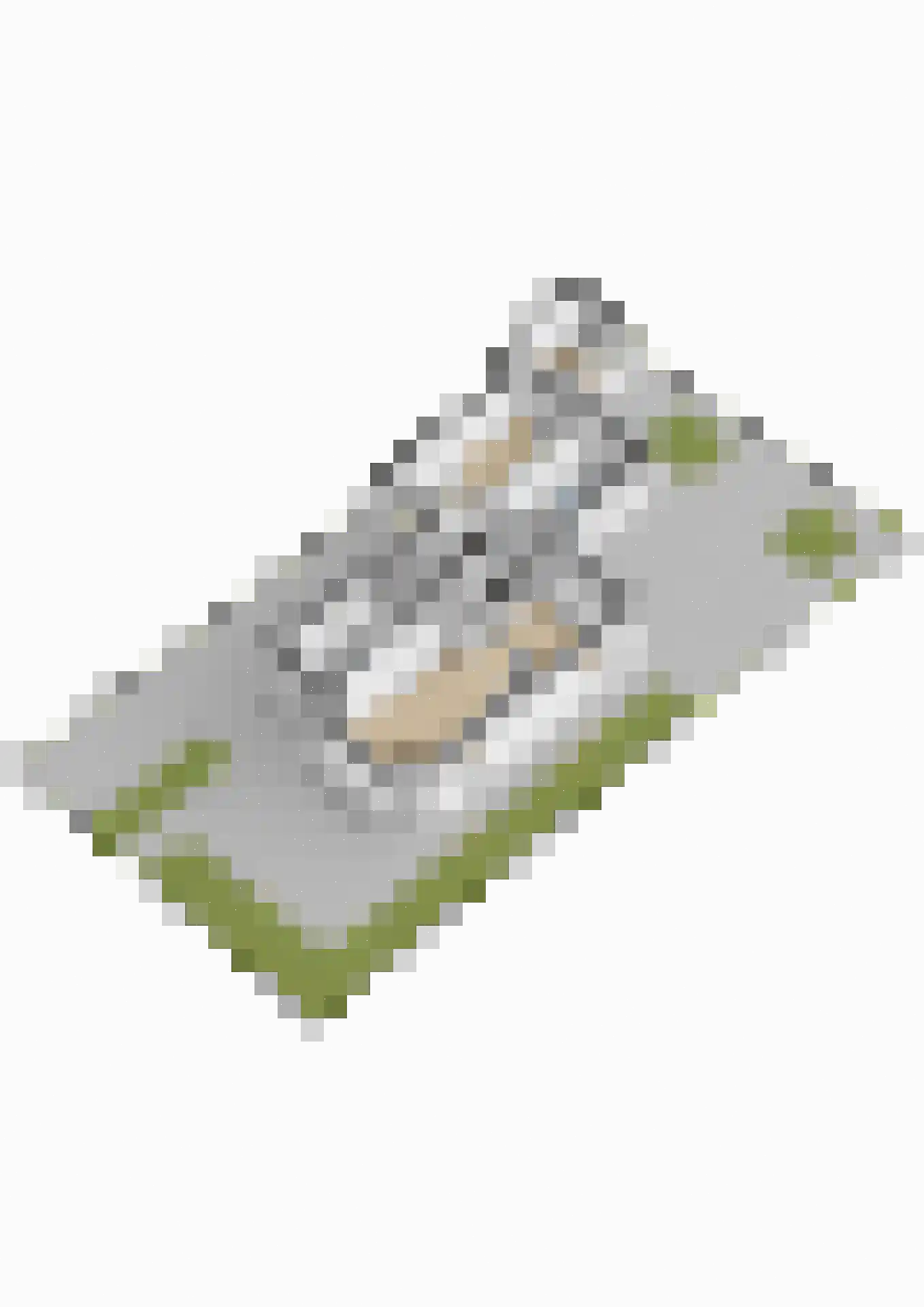 Osingastraat 56 Franeker thumbnail 70