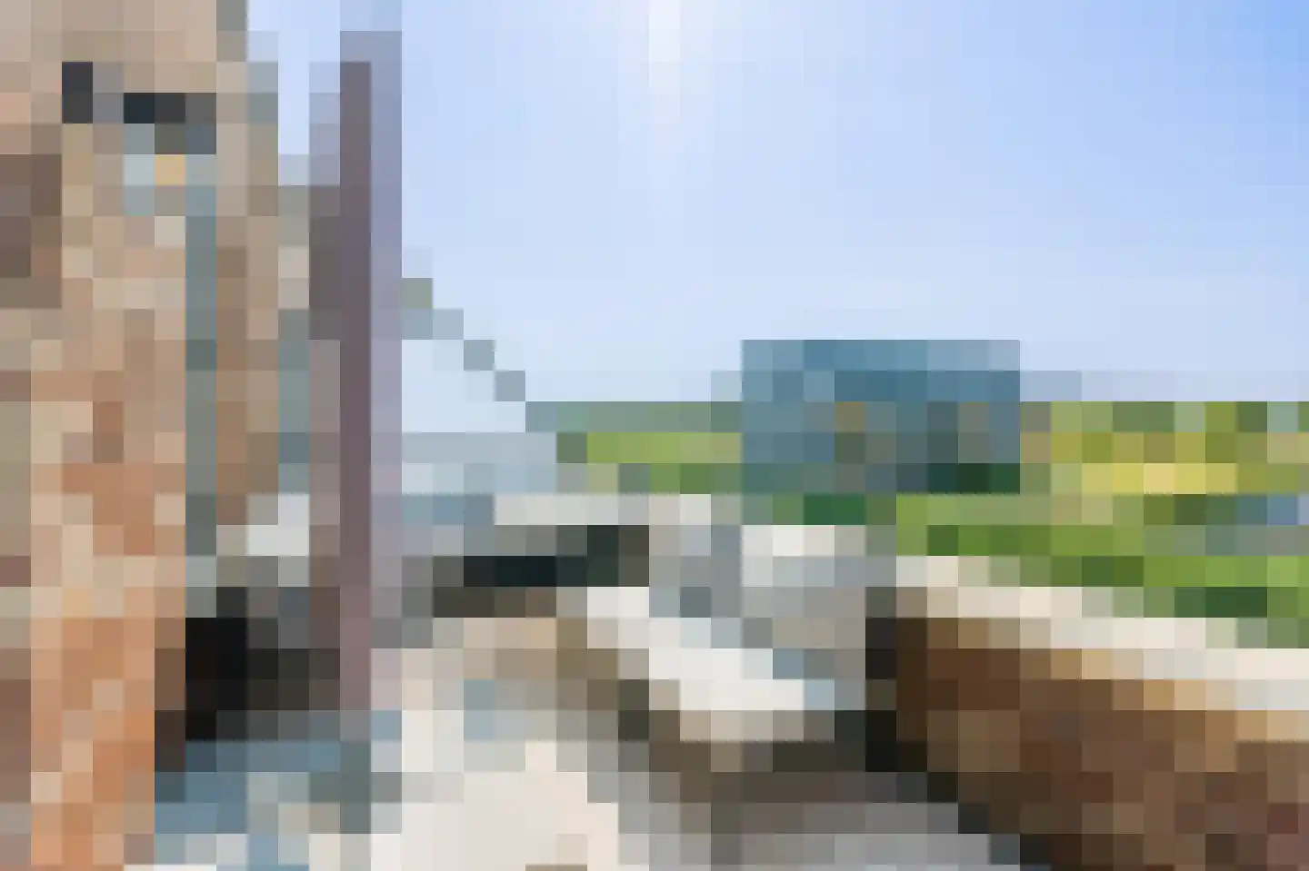 Osirispad 111 Almere thumbnail 4