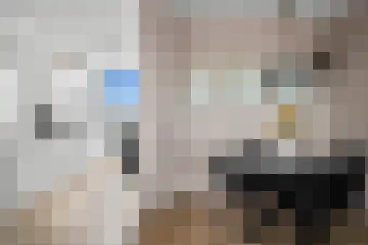 Osirispad 27 Almere thumbnail 11