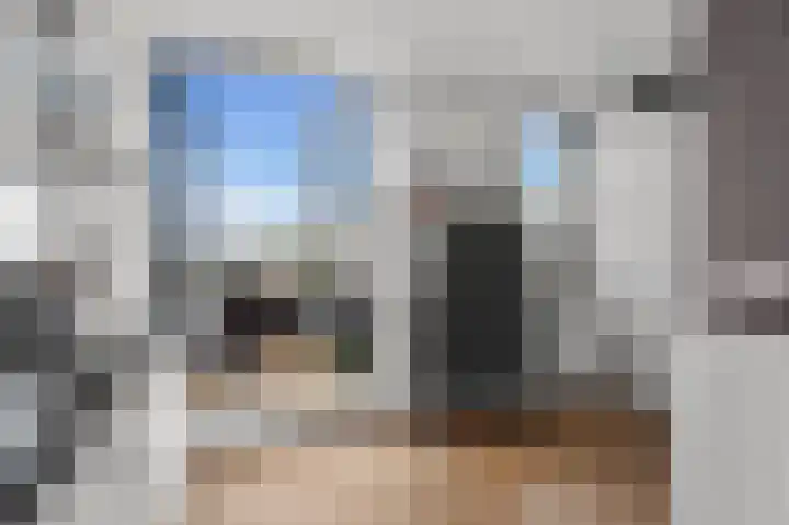 Osirispad 27 Almere thumbnail 17