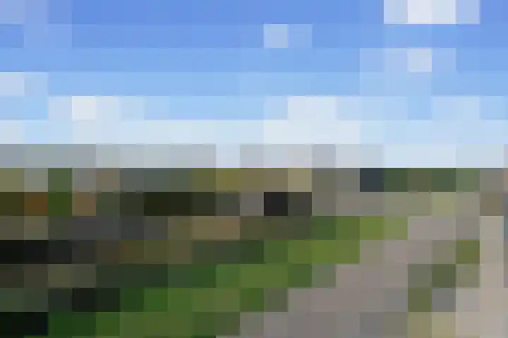 Osirispad 27 Almere thumbnail 4