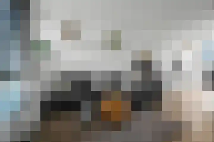 Osirispad 27 Almere thumbnail 7