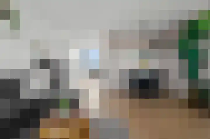 Osirispad 27 Almere thumbnail 8